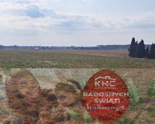 Radawiec Mały. Działka z projektem i pozwoleniem.