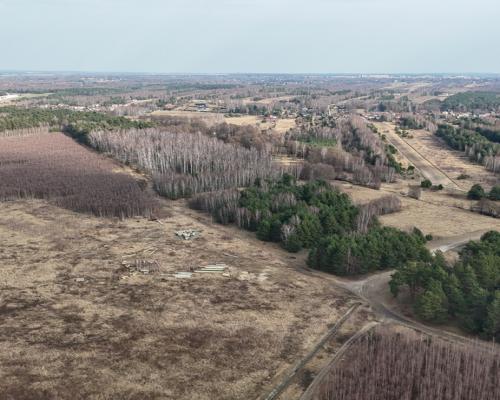 Częstochowa, Goździków | Działka wynajem/dzierżawa