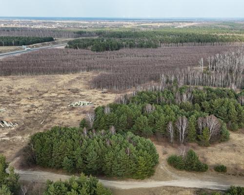 Częstochowa, Goździków | Działka wynajem/dzierżawa