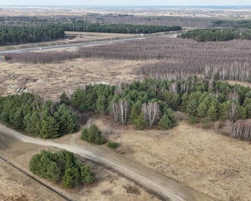 Częstochowa, Goździków | Działka wynajem/dzierżawa