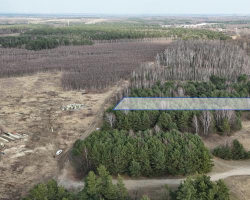 Częstochowa, Goździków | Działka wynajem/dzierżawa