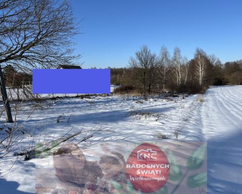 Działka 0,3 ha z WZ gm. Chotcza woj. mazowieckie.