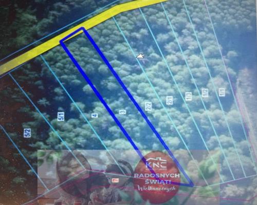 Trzy działki leśne (RL) w Podlodówce gm. Ułęż.