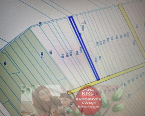 Trzy działki leśne (RL) w Podlodówce gm. Ułęż.