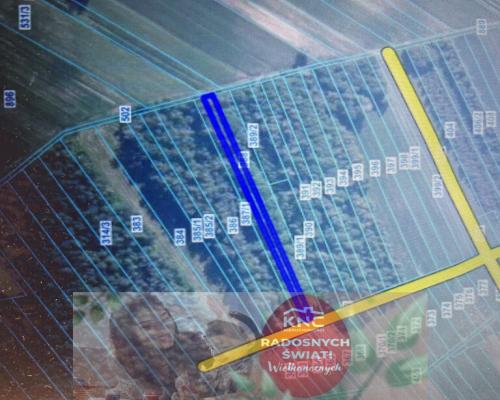 Trzy działki leśne (RL) w Podlodówce gm. Ułęż.