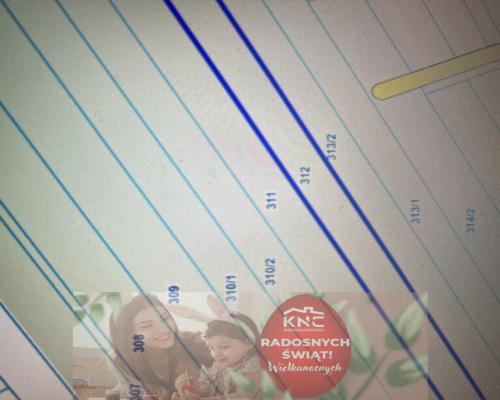 Trzy działki leśne (RL) w Podlodówce gm. Ułęż.