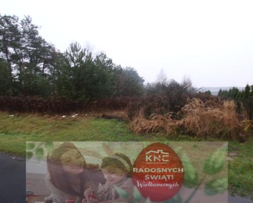 Działka rolno-budowlana 1,52 ha Dąbrowa gm. Ludwin