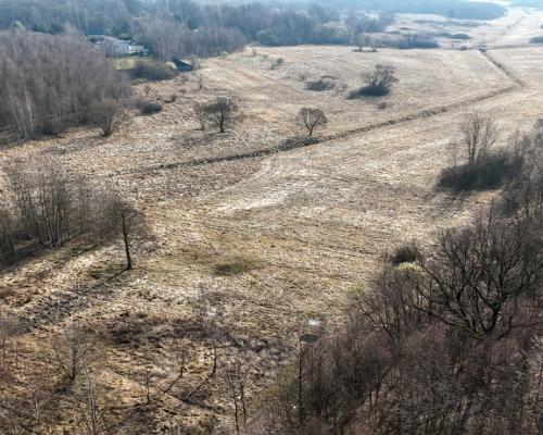 Kolonia Brzeziny Wielkie | Działka na sprzedaż