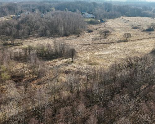 Kolonia Brzeziny Wielkie | Działka na sprzedaż