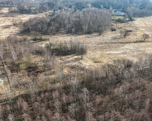 Kolonia Brzeziny Wielkie | Działka na sprzedaż