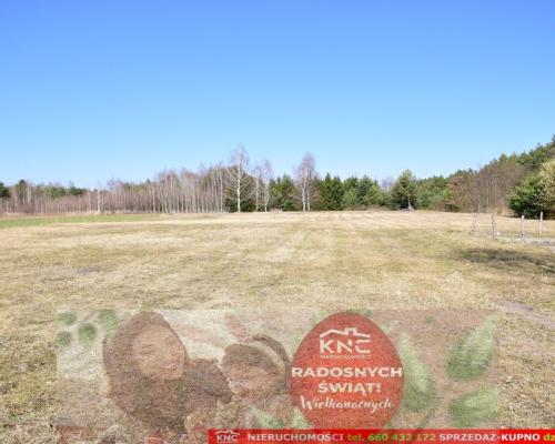 B ładna działka z domkiem letniskowym, własny las.