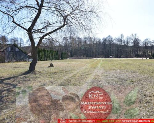 B ładna działka z domkiem letniskowym, własny las.