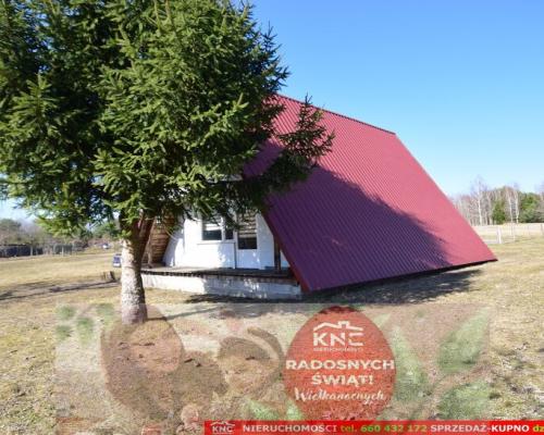 B ładna działka z domkiem letniskowym, własny las.