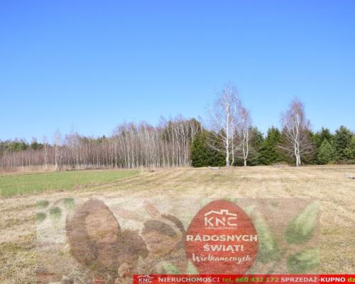 B ładna działka z domkiem letniskowym, własny las.