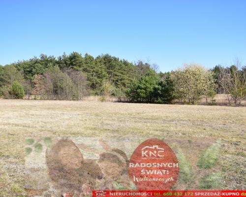 B ładna działka z domkiem letniskowym, własny las.