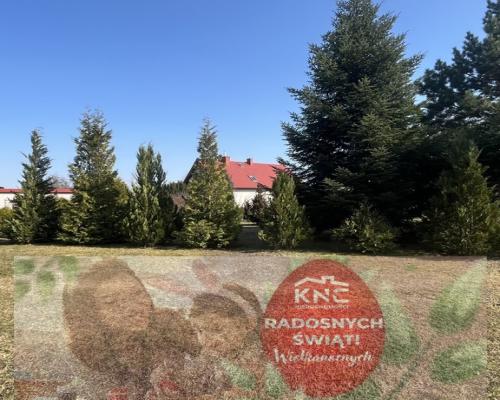 Dom na pięknej działce w  Policznej / mazowieckie.