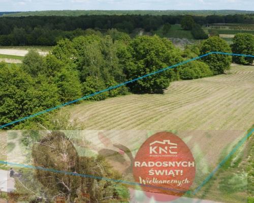 Działka 8713 m2 (piękny widok) w Kazimierzy Dolnym