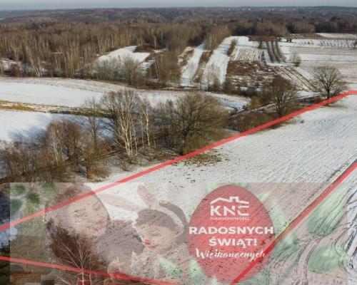 Działka 8713 m2 (piękny widok) w Kazimierzy Dolnym