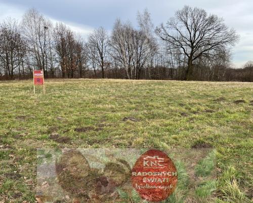 Działka 8713 m2 (piękny widok) w Kazimierzy Dolnym