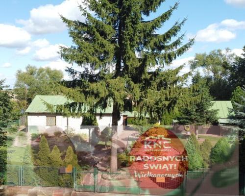 Zaciszne siedlisko w Zawadzie Starej gm. Policzna.