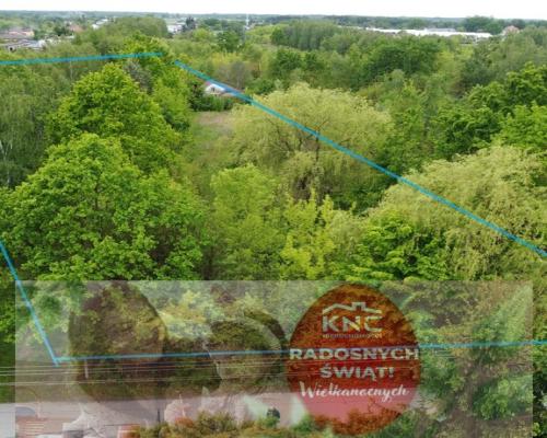 Działka budowlana 4587 m2 we Wsoli koło Radomia.