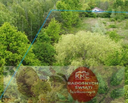 Działka budowlana 4587 m2 we Wsoli koło Radomia.