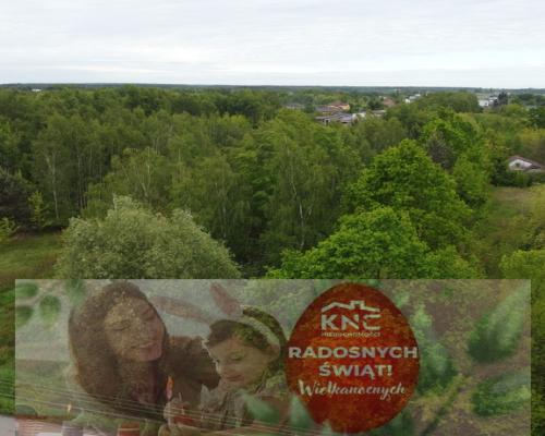 Działka budowlana 4587 m2 we Wsoli koło Radomia.