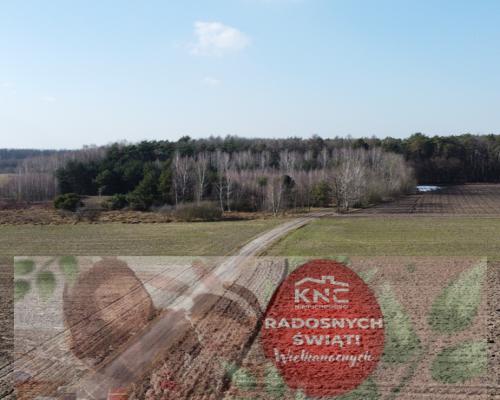 Żminne!!! Atrakcyjna działka w pięknym otoczeniu.
