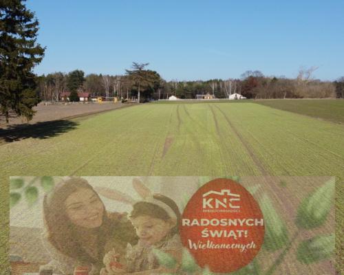 Żminne!!! Atrakcyjna działka w pięknym otoczeniu.