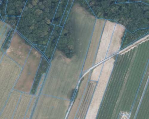 Bartłomiejowice gm. Wąwolnica-działka rolna