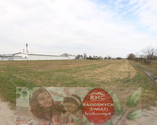 Działka budowlana 12 ar Niemce  ( 8 km do Lublina)