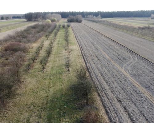 Siedlisko 3000 m2 w Boiskach gm. Solec nad Wisłą.