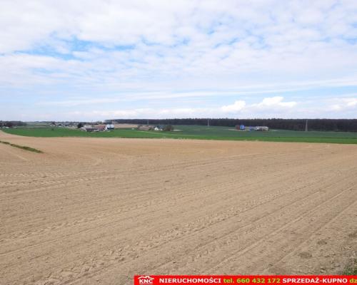 Duża działka rolno-bud. blisko lasu i zalewu.