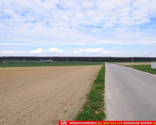 Duża działka rolno-bud. blisko lasu i zalewu.