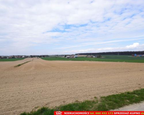 Duża działka rolno-bud. blisko lasu i zalewu.