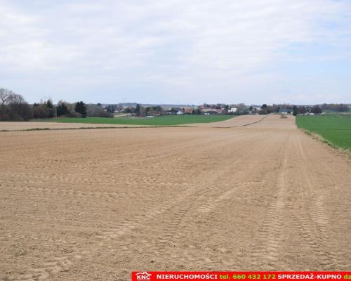 Duża działka rolno-bud. blisko lasu i zalewu.