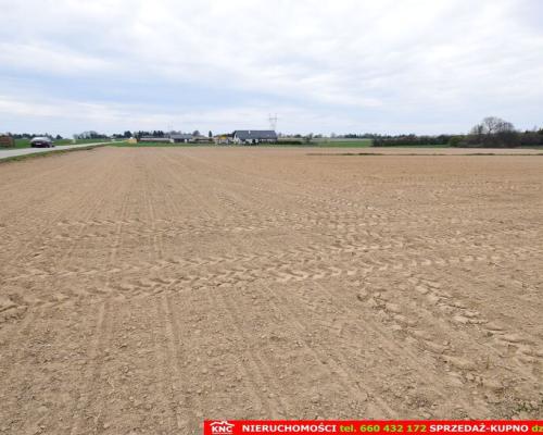 Duża działka rolno-bud. blisko lasu i zalewu.