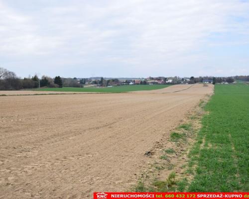 Duża działka rolno-bud. blisko lasu i zalewu.