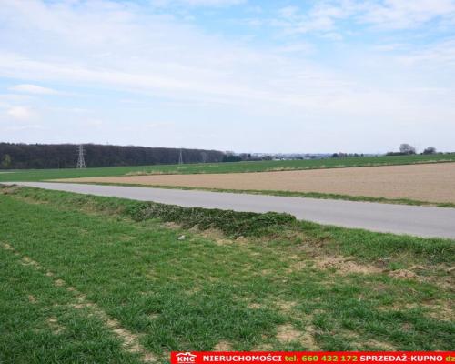 Duża działka rolno-bud. blisko lasu i zalewu.