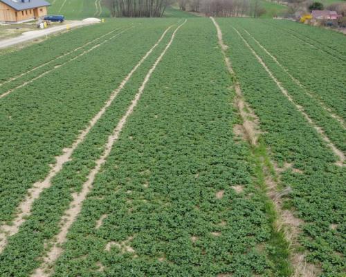 Działka budowlana blisko Zalewu Zemborzyckiego!!!