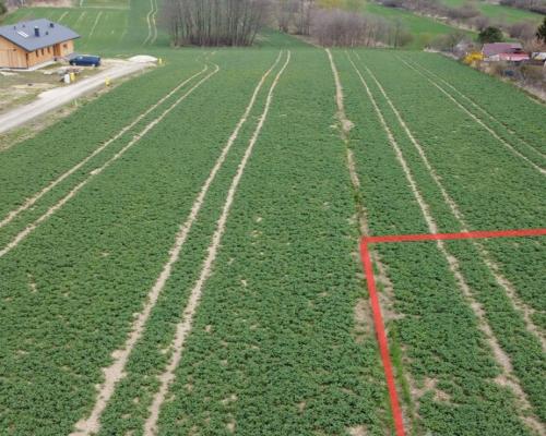 Działka budowlana blisko Zalewu Zemborzyckiego!!!