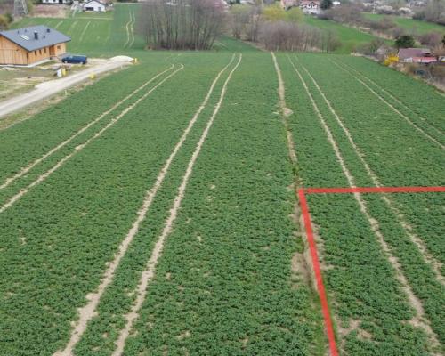 Działka budowlana blisko Zalewu Zemborzyckiego!!!