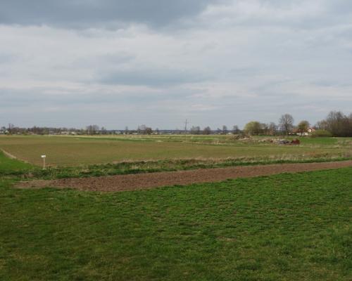 Działka rolno-budowlana w Kośminie gm. Żyrzyn.