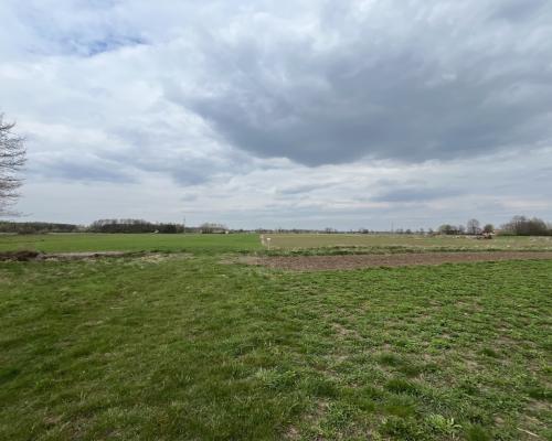 Działka rolno-budowlana w Kośminie gm. Żyrzyn.