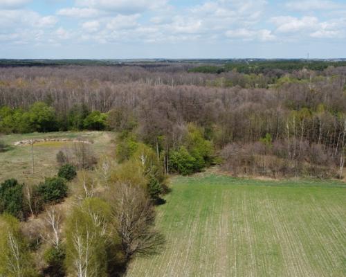 Działka budowlana 3000 m2 w Siekierce gm. Chotcza