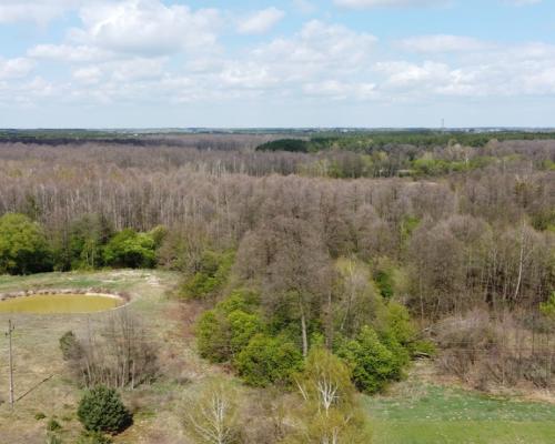 Działka budowlana 3000 m2 w Siekierce gm. Chotcza