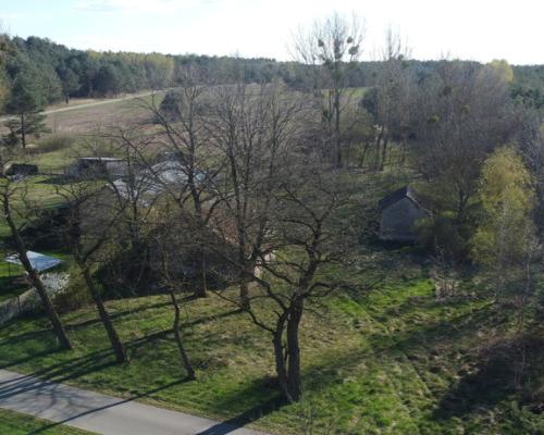 Siedlisko w otoczeniu natury Borowiec gm Ciepielów