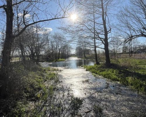 Siedlisko w otoczeniu natury Borowiec gm Ciepielów