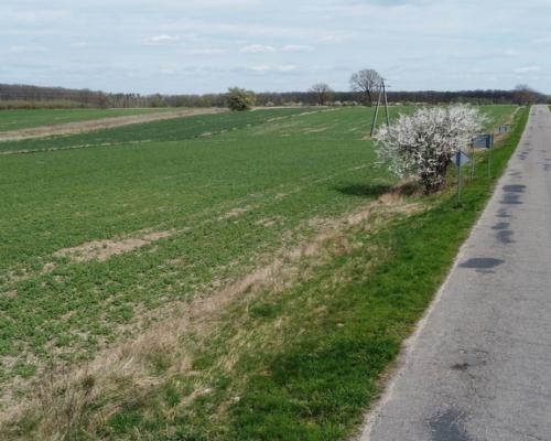 Wojszyn - działka budowlana 3163 m² z MPZP