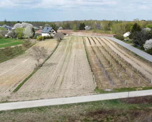 Działka pod zabudowę 3318 m2 Góry Kazimierz Dolny.